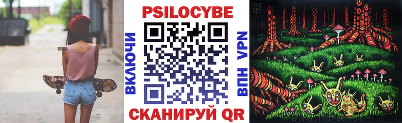 Купить закладки  Губкин  Галлюциногенные грибы GOLDEN TEACHER 